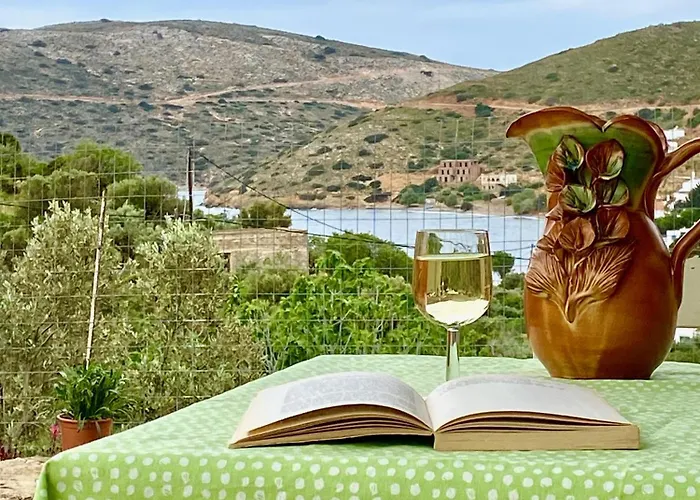 Case de vacanță Captain's House *