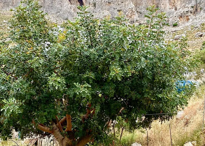 Captain's House Case de vacanță